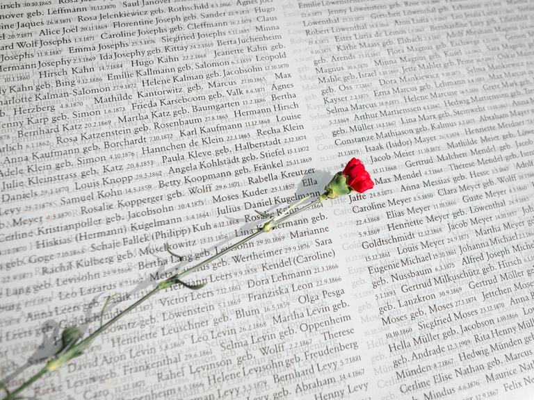 Eine rote Blume liegt auf einer Buchseite mit aufgedruckten Namen. Eine rote Blume liegt auf einer Buchseite mit aufgedruckten Namen.