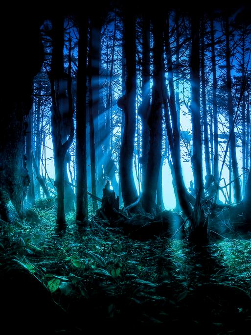 Düsteres Bild eines Waldes in blauen und türkisen Tönen