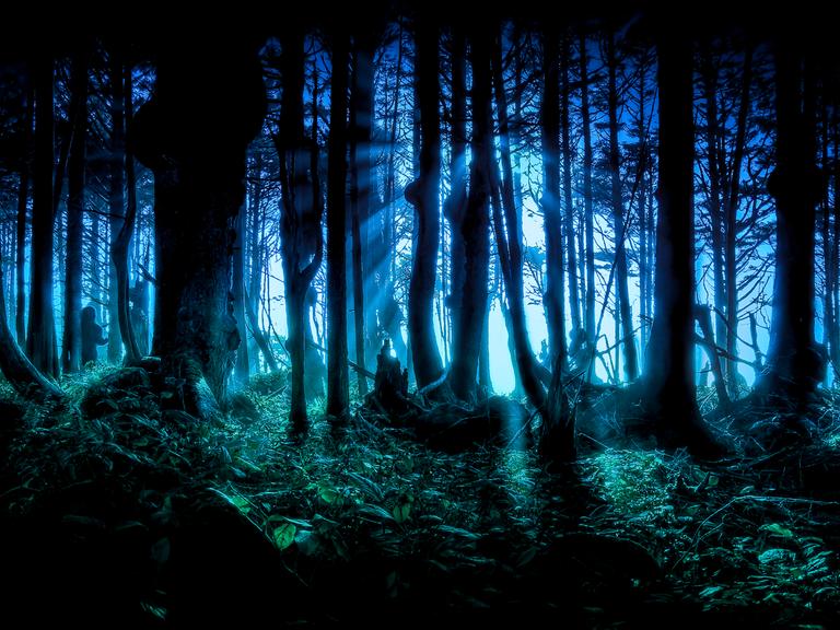Düsteres Bild eines Waldes in blauen und türkisen Tönen