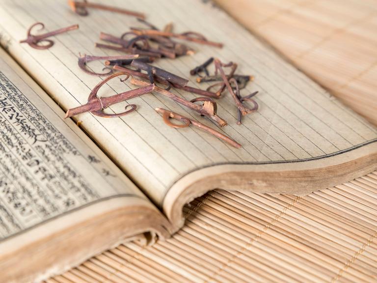 Chinese medicine single product close-up hook vine PUBLICATIONxNOTxINxCHN 554556659671105599