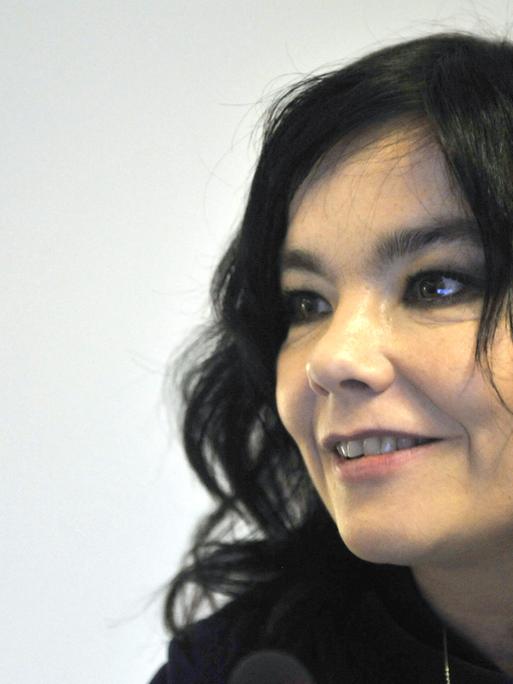 Die isländische Sängerin und UN-Umweltaktivistin Björk hält am 6. November 2008 eine Pressekonferenz im europäischen Hauptquartier in Brüssel ab.