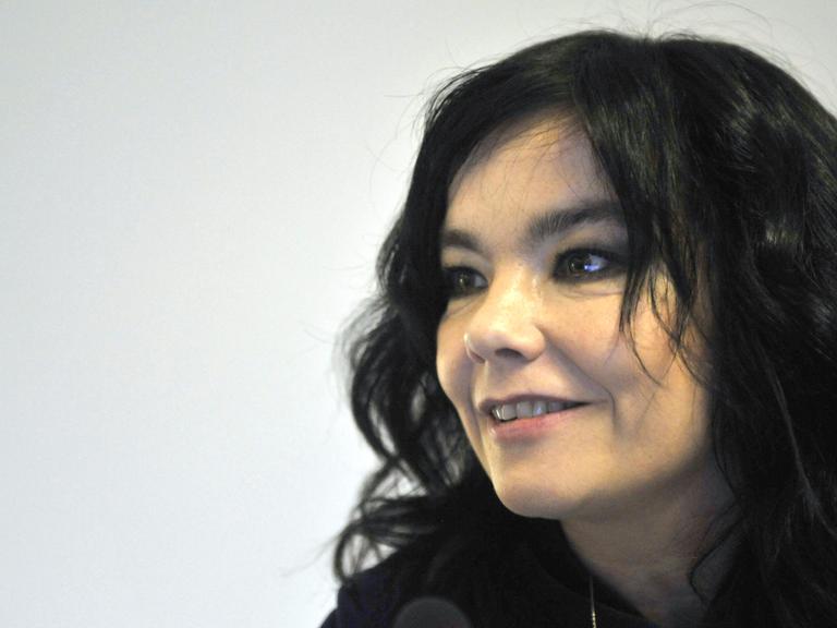 Die isländische Sängerin und UN-Umweltaktivistin Björk hält am 6. November 2008 eine Pressekonferenz im europäischen Hauptquartier in Brüssel ab.