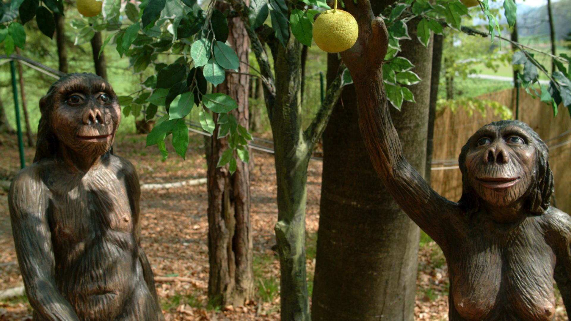 Darstellung von Adam & Eva im Paradies, Garten Eden