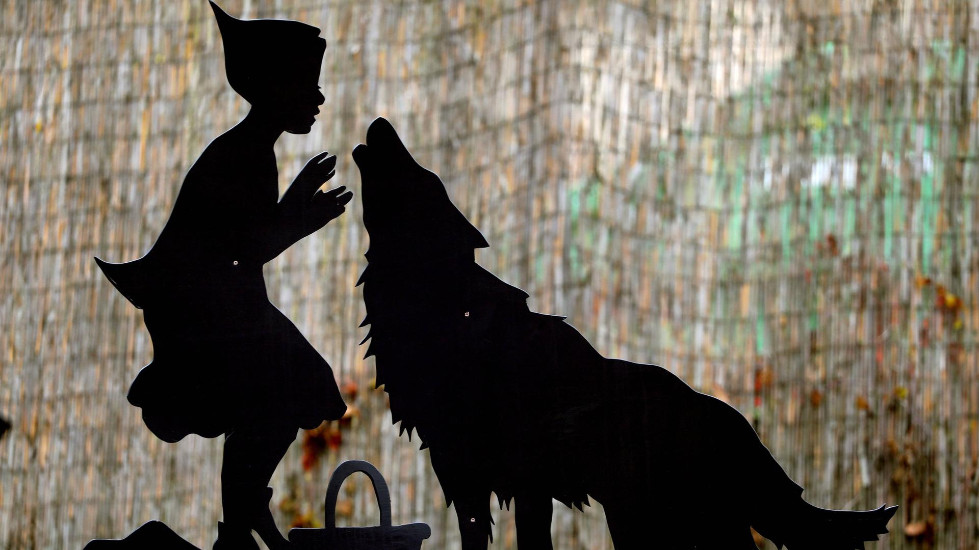 Mythisches Bild: Die Silhouette von Rotkäppchen und dem bösen Wolf, aufgenommen im Thüringer Zoopark. Das Rotkäppchen, im Bild links, schaut dem heulenden Wolf ins Gesicht, beide stehen dicht beieinander. Mythisches Bild: Die Silhouette von Rotkäppchen und dem bösen Wolf, aufgenommen im Thüringer Zoopark. Das Rotkäppchen, im Bild links, schaut dem heulenden Wolf ins Gesicht, beide stehen dicht beieinander.