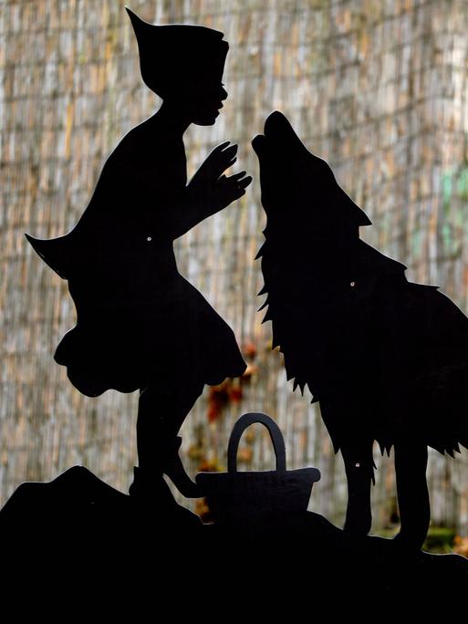 Mythisches Bild: Die Silhouette von Rotkäppchen und dem bösen Wolf, aufgenommen im Thüringer Zoopark. Das Rotkäppchen, im Bild links, schaut dem heulenden Wolf ins Gesicht, beide stehen dicht beieinander. 