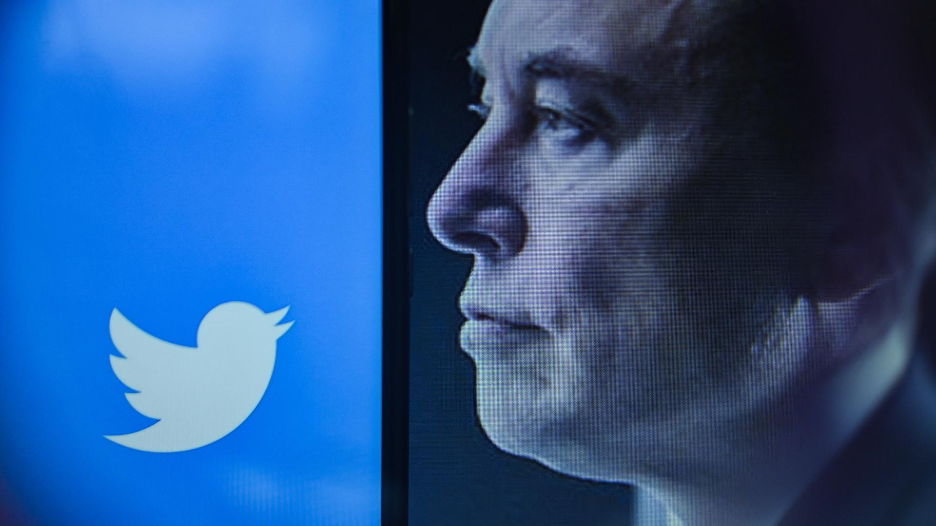 Twitter-Chef Musks Gesicht im Profil blickt in Richtung des Twitter-Symbols.