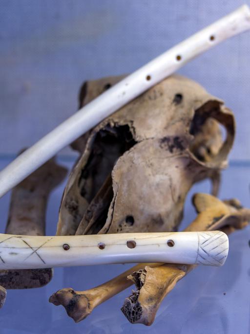 Verschieden große, nachgebaute Knochenflöten liegen auf Knochen drapiert auf einem Tisch.
