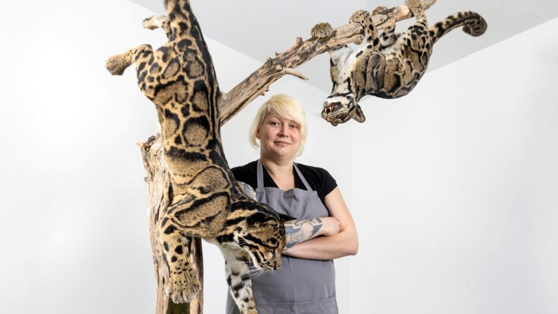 Die Tierpräparatorin Christin Scheinpflug, in blauer Arbeitsschürze und selbstbewusst verschränkten Armen, steht zwischen zwei ausgestopften Leoparden, die an einem Baumstamm hängen.