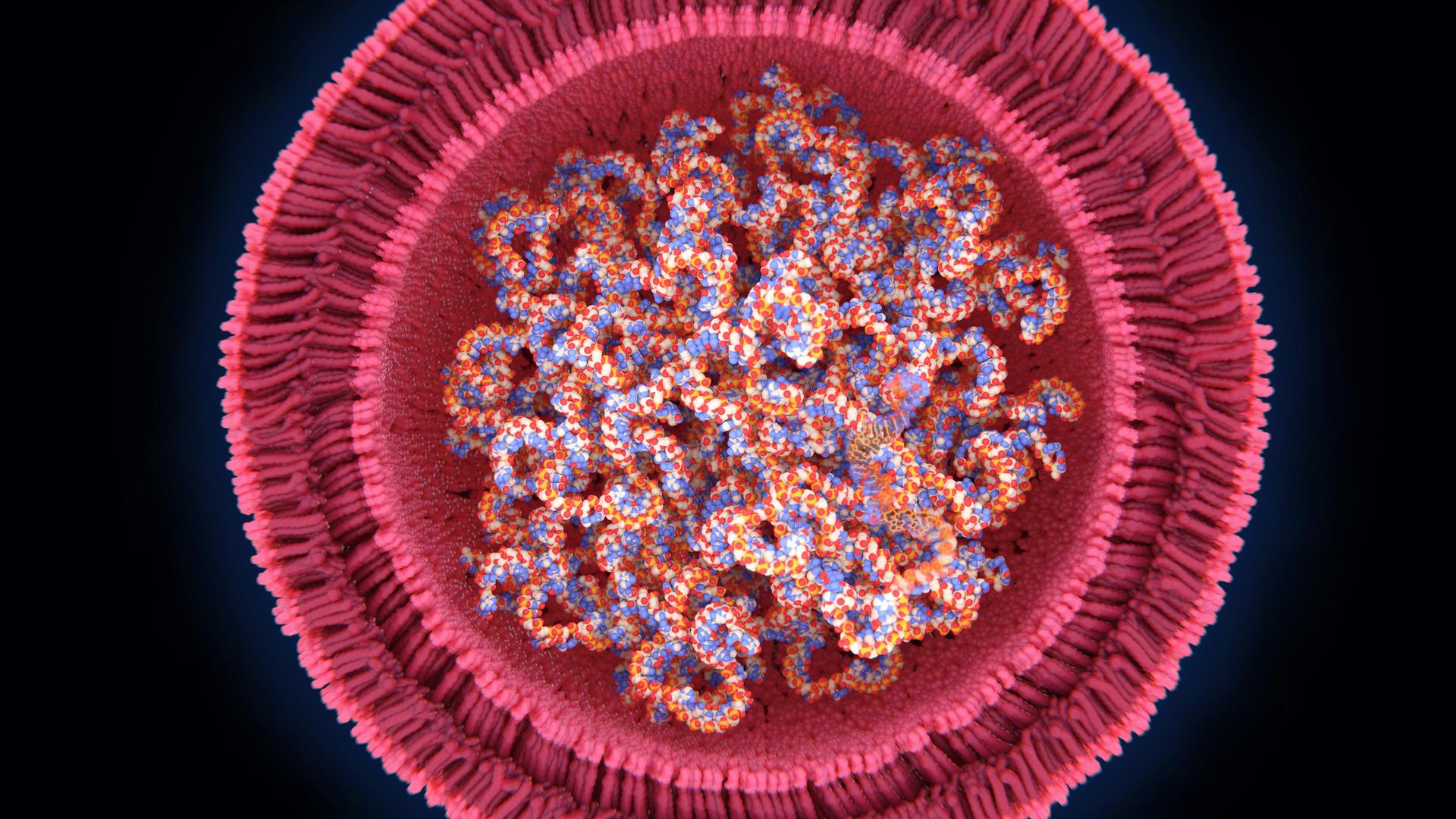 Schematische Darstellung eines RNA Impfstoffs