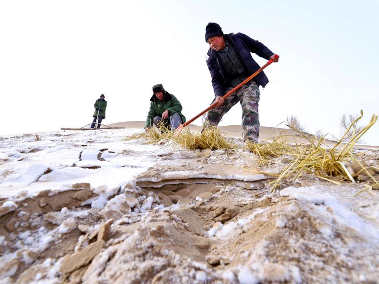 Chinesische Bauern bauen Sandbarrieren und bepflanzen sie mit Gräser im Bezirk Linze der Wüste Gobi