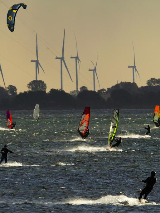 Surfer und und Kitesurfer an der Westküste von Fehmarn an der Ostsee. Im Hintergrund sind Windräder zu sehen. Vor dem kleinen Ort Gold auf Fehmarn liegt ein im weiten Umkreis beliebtes Surfrevier. Surfer und und Kitesurfer an der Westküste von Fehmarn an der Ostsee. Im Hintergrund sind Windräder zu sehen. Vor dem kleinen Ort Gold auf Fehmarn liegt ein im weiten Umkreis beliebtes Surfrevier.