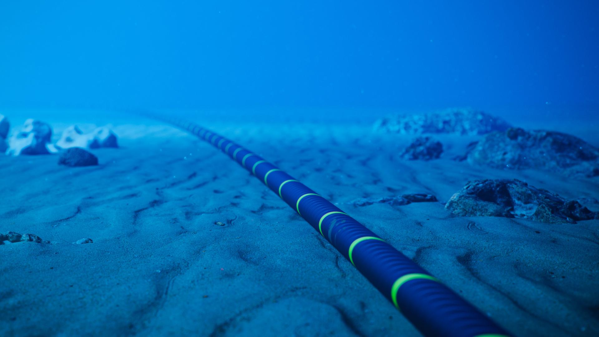 Ein Tiefseekabel auf dem Boden des Ozeans (Symbolbild)