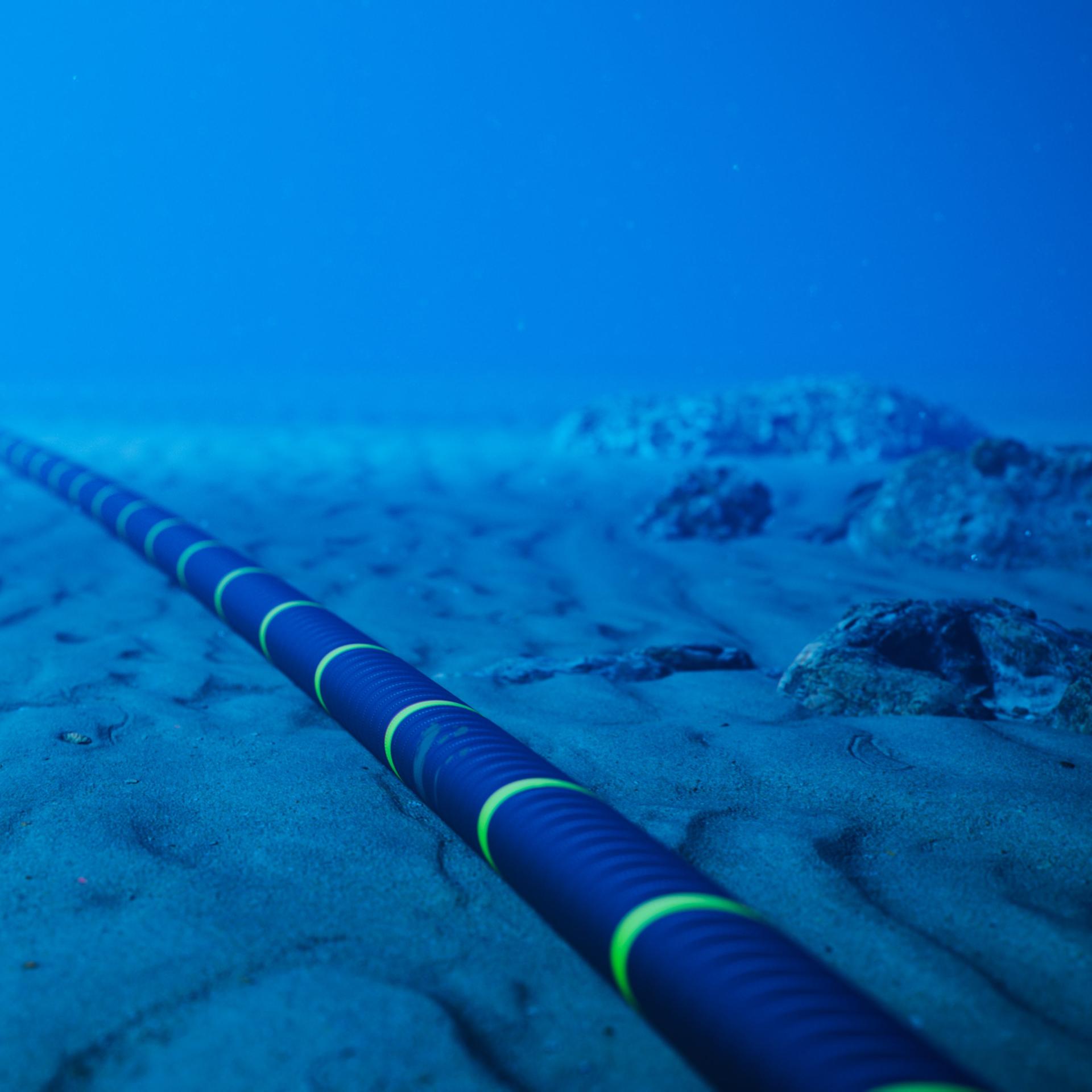 Frühe Erdbebenwarnung: Tiefseekabel als tausende Kilometer langer Seismograf