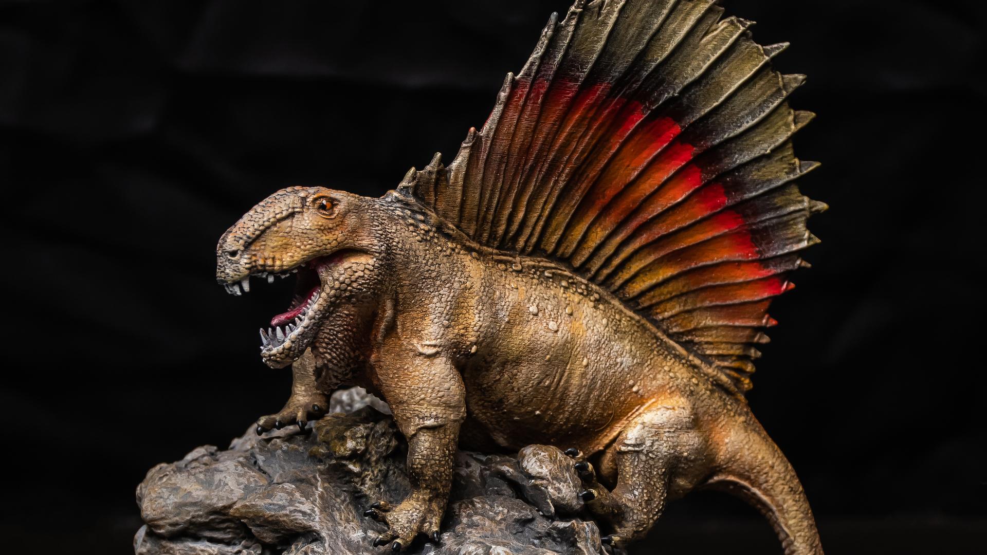 Ein urzeitliches Raubtier mit großen Zähnen und auffälligem Rückensegel Ein urzeitliches Raubtier mit großen Zähnen und auffälligem Rückensegel