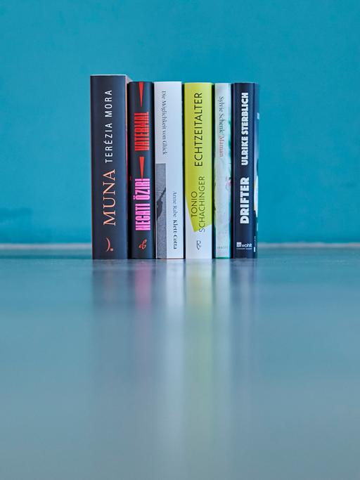 Buchrücken aller Romane, die auf der Shortlist des Deutschen Buchpreises 2023 stehen