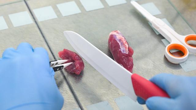 Erster Schritt für Zulassung von Laborfleisch