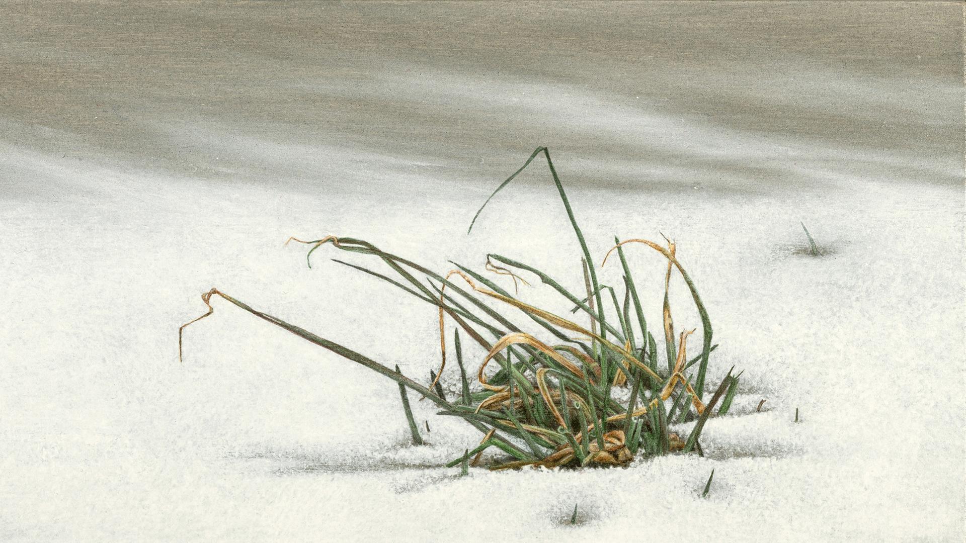 Brandeln I - Acryl auf Holz 2021. Zu sehen: Gräser schauen aus einer Schneedecke hervor.