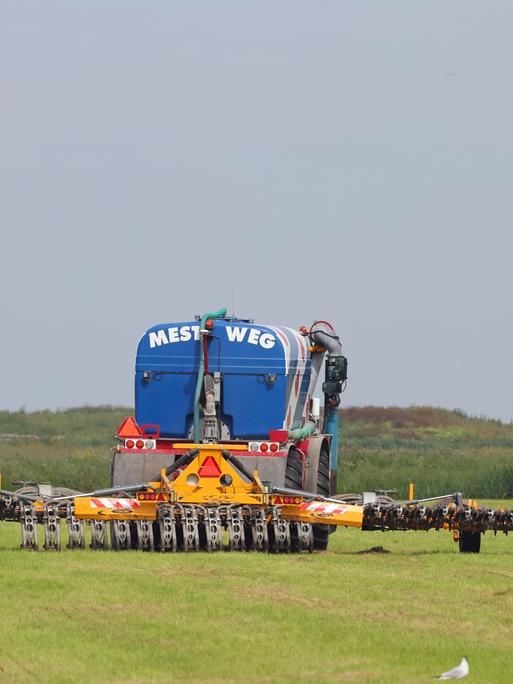 Landwirtschaft: Gülleausbringung und Einarbeitung in den Boden mittels Schleppschuh, Niederlande, Friesland, Ferwert.