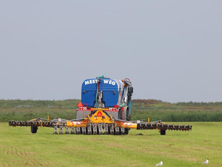 Landwirtschaft: Gülleausbringung und Einarbeitung in den Boden mittels Schleppschuh, Niederlande, Friesland, Ferwert.