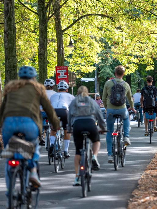 Zahlreiche Radfaher sind auf dem Promenadenring von Münster unterwegs.