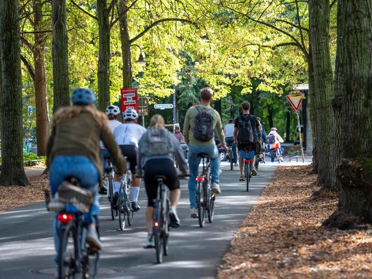 Zahlreiche Radfaher sind auf dem Promenadenring von Münster unterwegs.