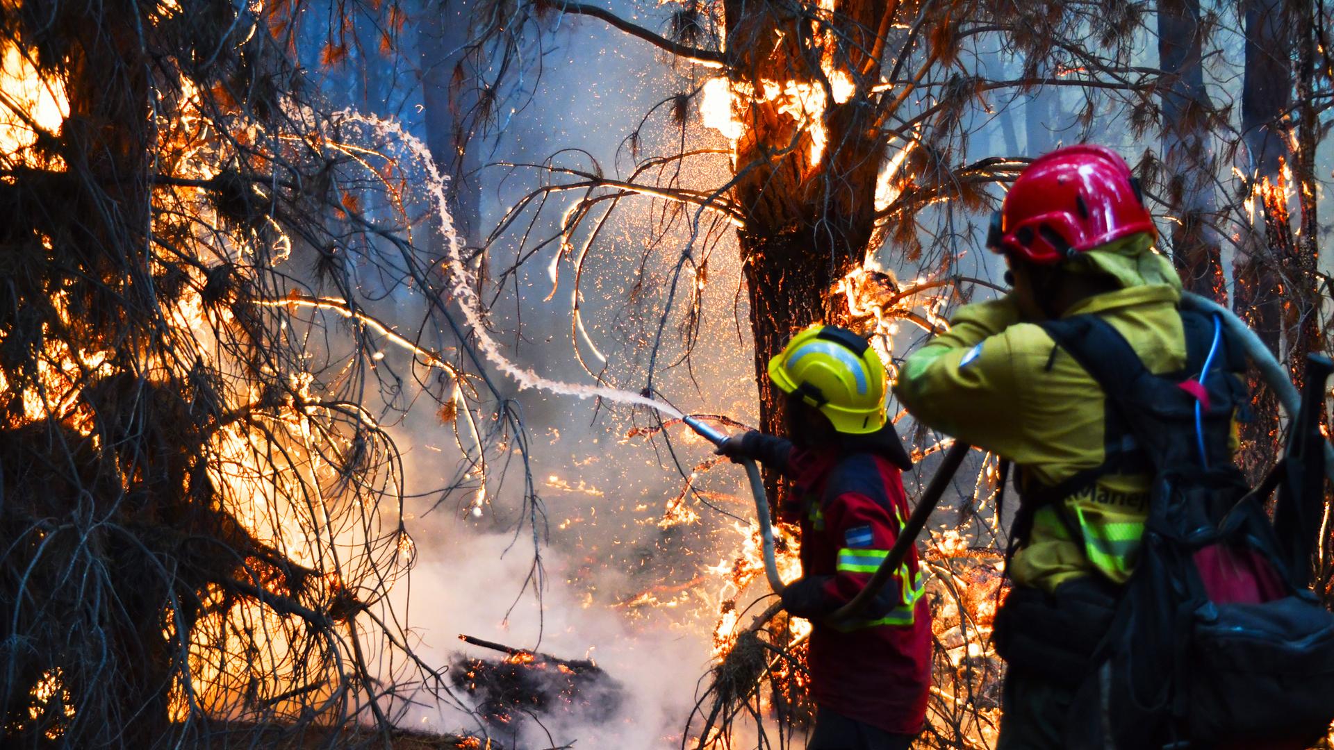 Feuerwehrleute bekämpfen die Flammen der Waldbrände in Epuyen, Patagonien. 