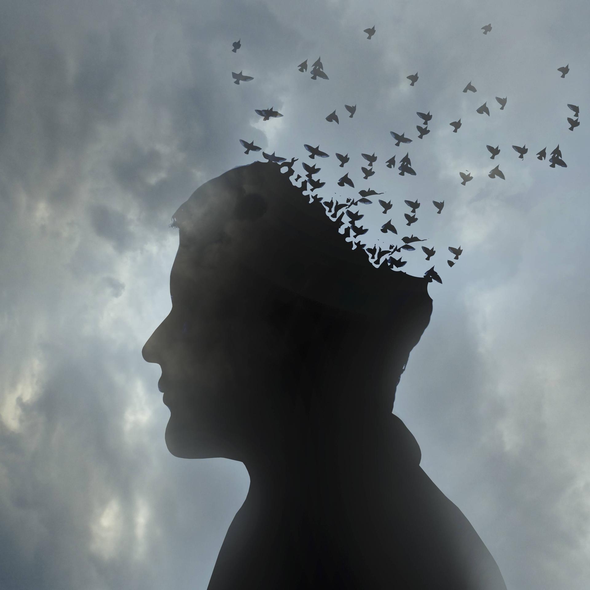 Volha Hapeyeva: "Wörterbuch einer Nomadin" - Sprache(n) einer Dichterin im Exil Volha Hapeyeva: