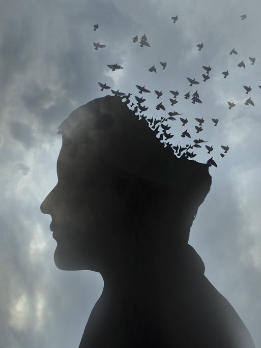 Illustration: Kopf eines Mannes löst sich auf in einen wegfliegenden Vogelschwarm.