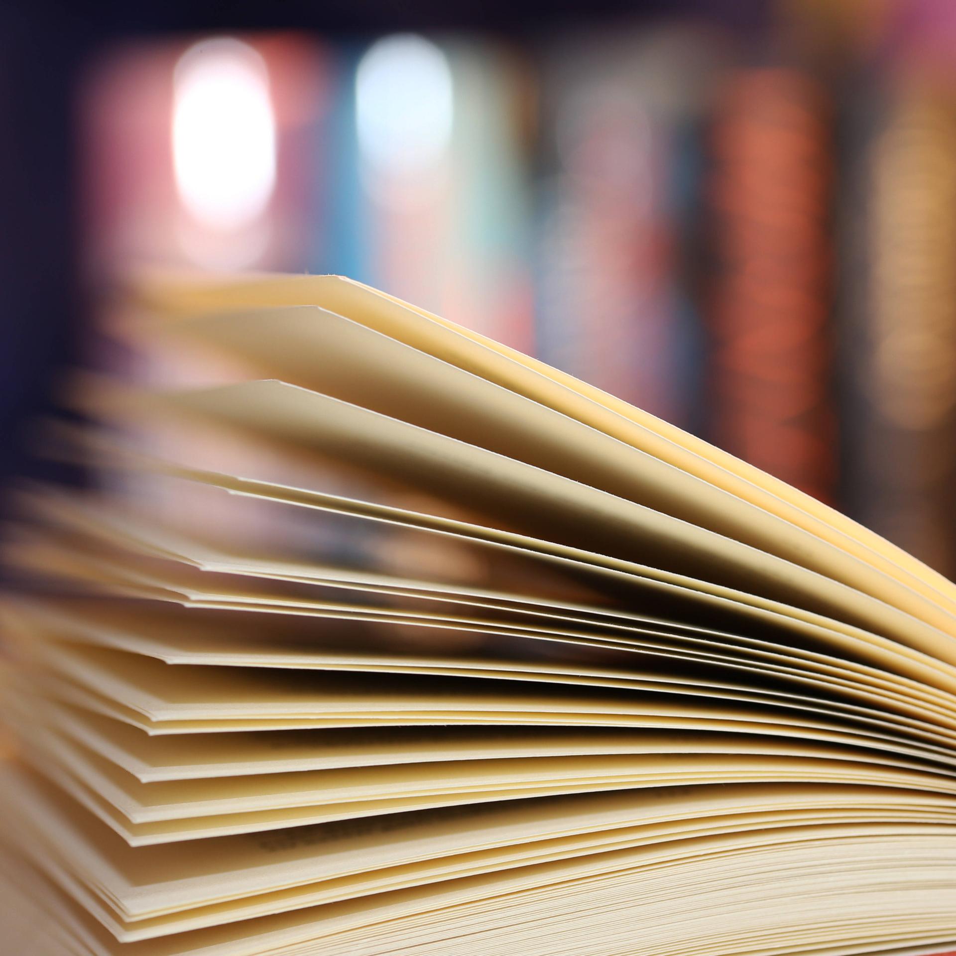 Sachsen-Anhalt - Eine Buchhändlerin engagiert sich gegen rechts