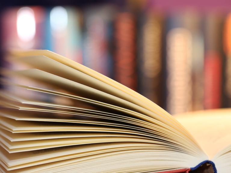 Ein aufgeschlagenes Buch. Sehr unscharf im Hintergrund stehen weitere Bücher in einem Regal. Ein aufgeschlagenes Buch. Sehr unscharf im Hintergrund stehen weitere Bücher in einem Regal.