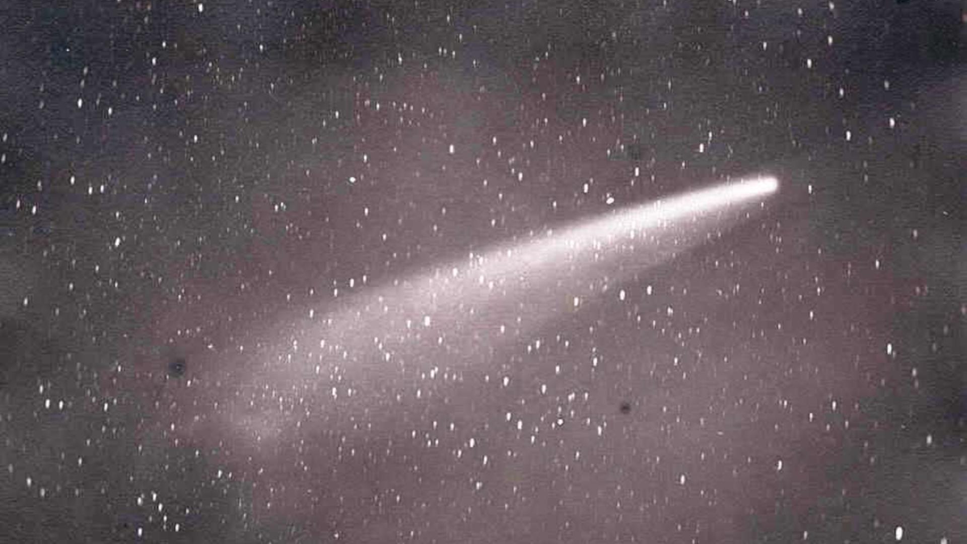 Länger belichtete Fotografie des Kometen von 1882, während er über Südafrika strahlte (Foto: David Gill)