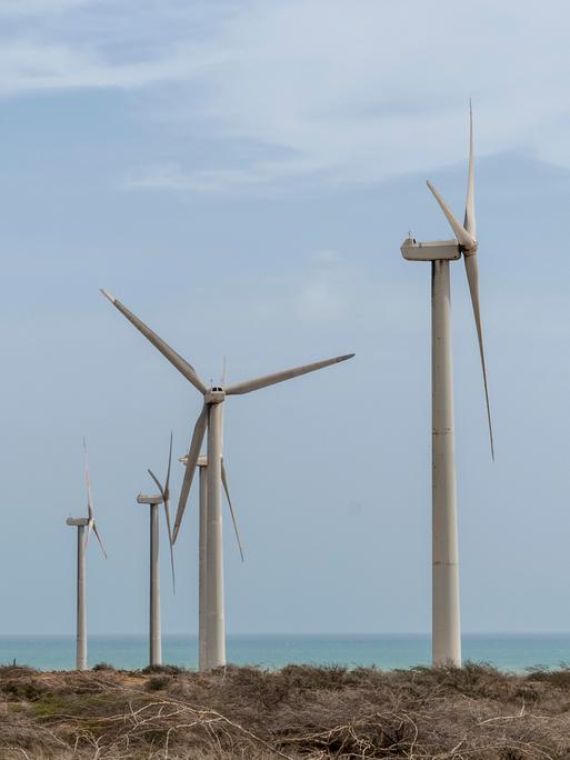 Windräder stehen an der Küste, im Hintergrund ist das Meer zu sehen.