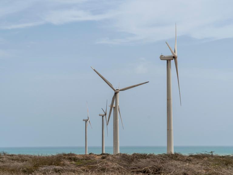 Windräder stehen an der Küste, im Hintergrund ist das Meer zu sehen.