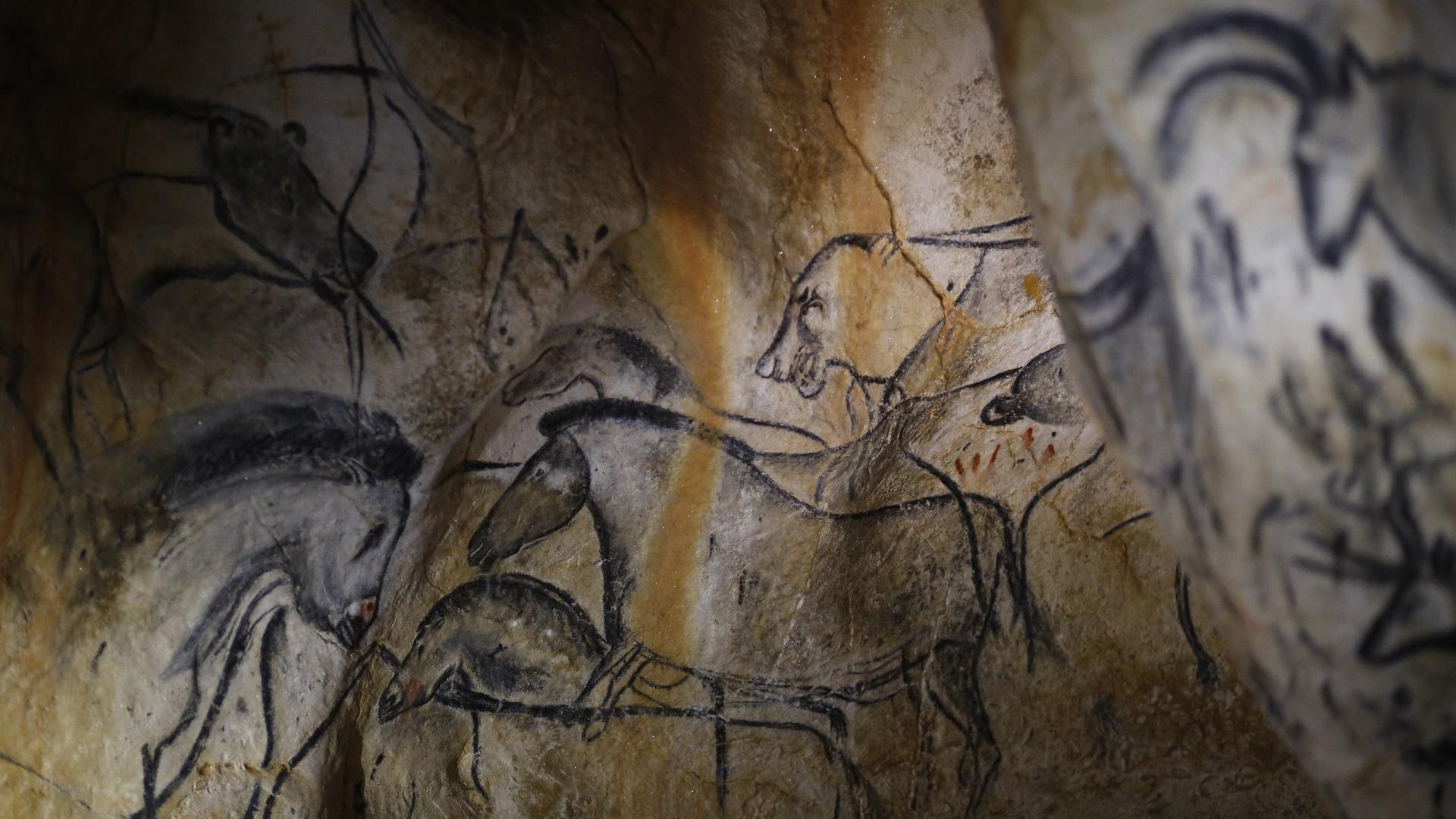 Höhlenmalerei in der Chauvet-Höhle: Zeichnungen von Tieren auf einer Felswand Höhlenmalerei in der Chauvet-Höhle: Zeichnungen von Tieren auf einer Felswand