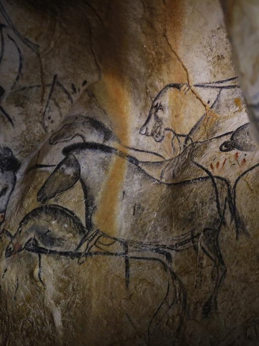 Höhlenmalerei in der Chauvet-Höhle: Zeichnungen von Tieren auf einer Felswand