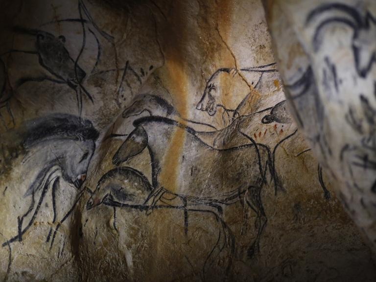 Höhlenmalerei in der Chauvet-Höhle: Zeichnungen von Tieren auf einer Felswand