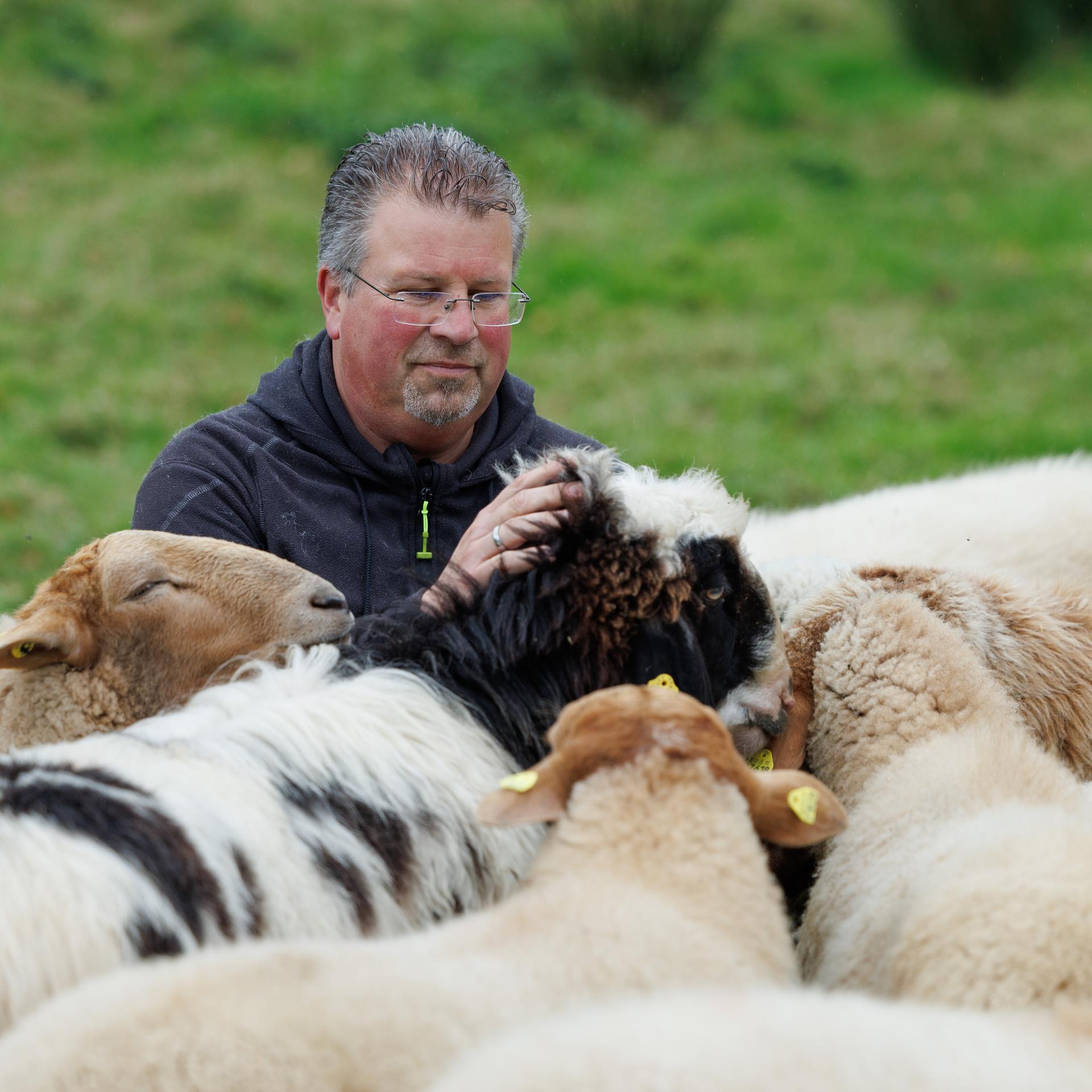 Schäfer Michael Stücke - Schwule Schafe in Ostwestfalen