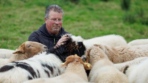 Der Schäfer Michael Stücke blickt auf seine Schafherde. Der Schäfer Michael Stücke blickt auf seine Schafherde.