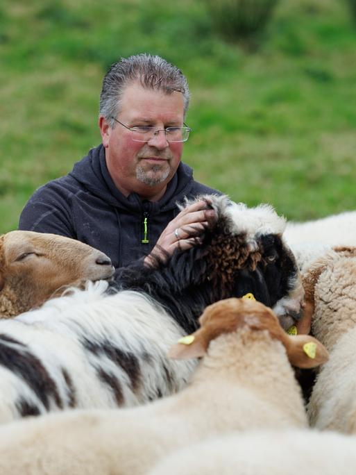 Der Schäfer Michael Stücke blickt auf seine Schafherde.
