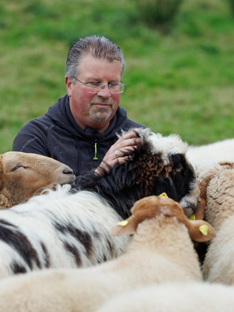 Der Schäfer Michael Stücke blickt auf seine Schafherde.