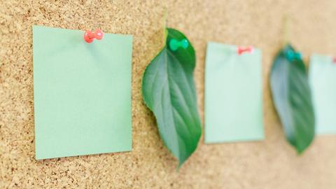 Grüne Notizblätter und die Blätter einer Pflanze hängen an einer Pinnwand.