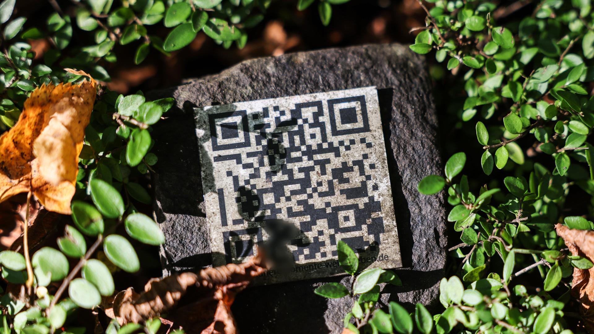 Ein QR-Code liegt zwischen Planzen auf einer Grabstätte auf dem Melaten-Friedhof in Köln.