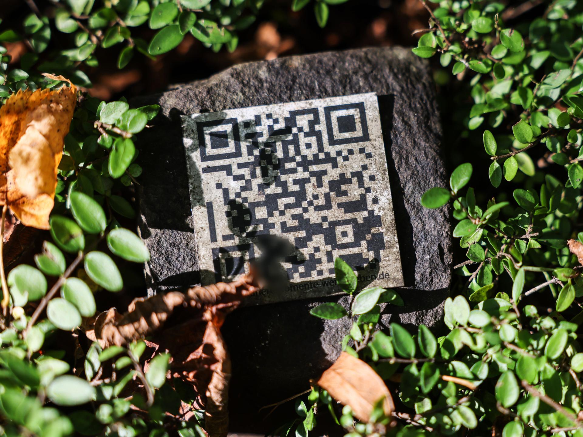 Ein QR-Code liegt zwischen Planzen auf einer Grabstätte auf dem Melaten-Friedhof in Köln.
