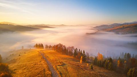 November-Landschaft: Panorama-Blick auf einen Hügel mit herbstlichen Bäumen im Nebel. November-Landschaft: Panorama-Blick auf einen Hügel mit herbstlichen Bäumen im Nebel.