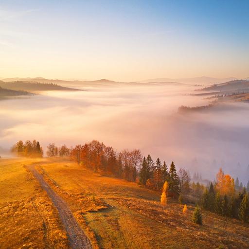 November-Landschaft: Panorama-Blick auf einen Hügel mit herbstlichen Bäumen im Nebel.
