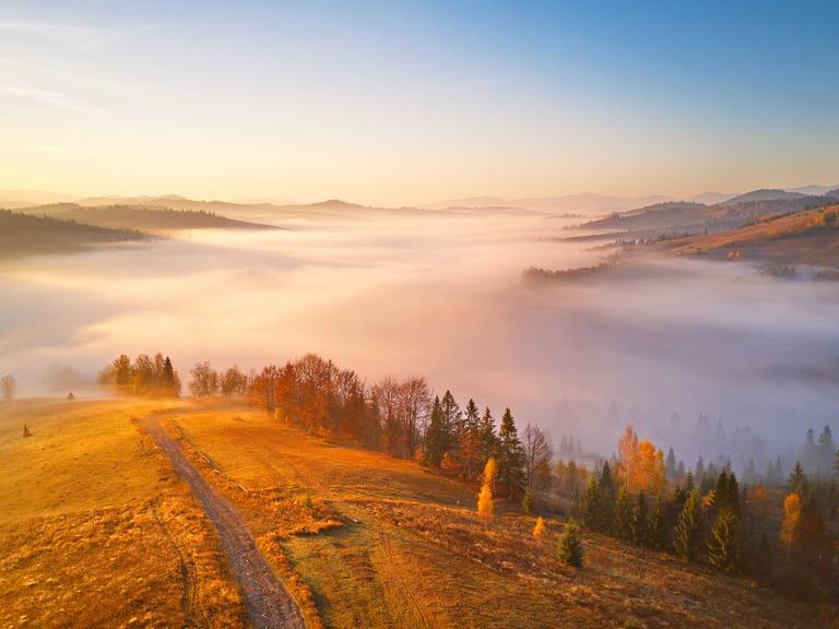 November-Landschaft: Panorama-Blick auf einen Hügel mit herbstlichen Bäumen im Nebel.