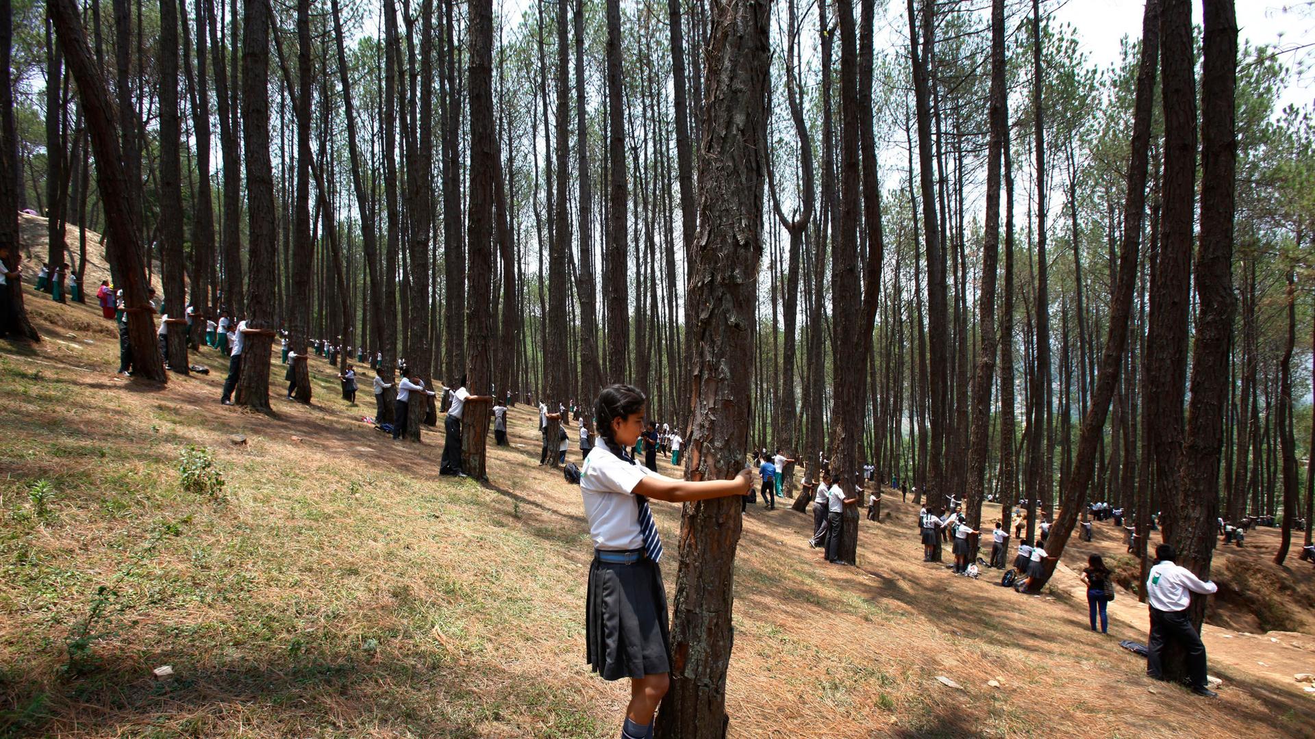 Viele junge Menschen umarmen Bäume in einem Wald