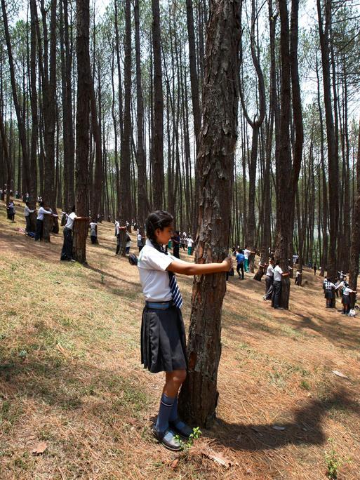 Viele junge Menschen umarmen Bäume in einem Wald
