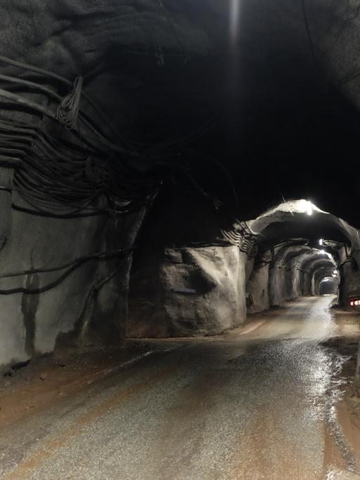 Tunnel im Erzgebirge (Grit Eggerichs)