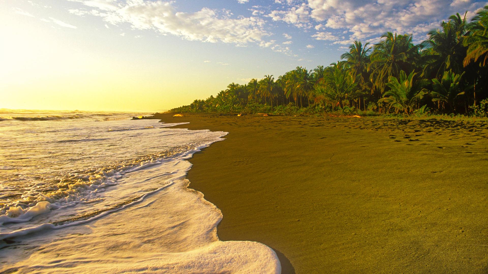 Ein unbelassener Strand mit weißem Sand und Palmen in Costa Rica. Ein unbelassener Strand mit weißem Sand und Palmen in Costa Rica.